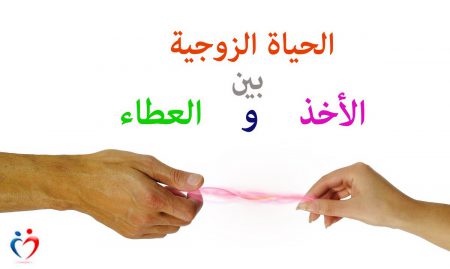 life-in-mariage-e1543484153300