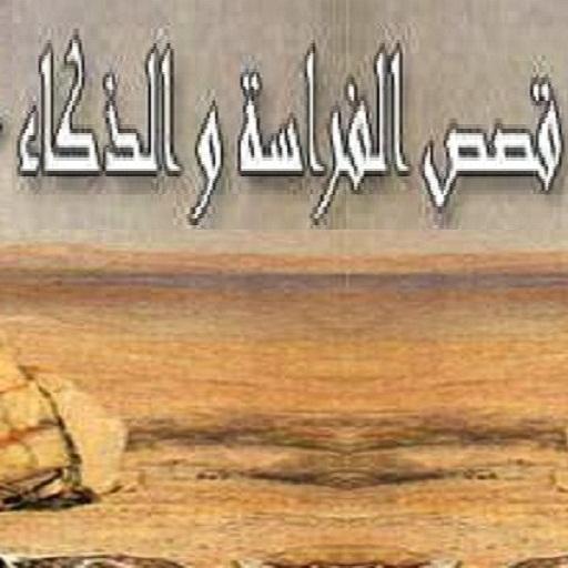 قصص-ذكاء