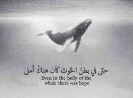 تنزيل (1)