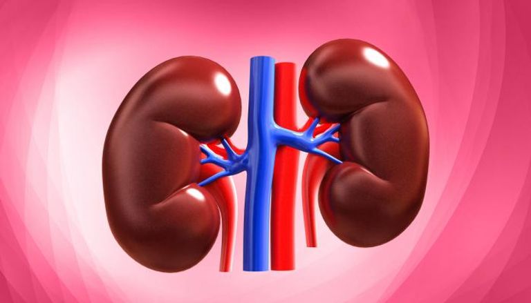 129-001457-kidney-diseases-types-causes-treatment_700x400