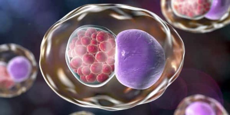 133-002002-serious-diseases-threaten-reproductive-system-6