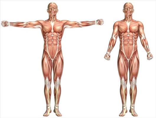 98abd946-e1ff-4218-940f-9754df14343d